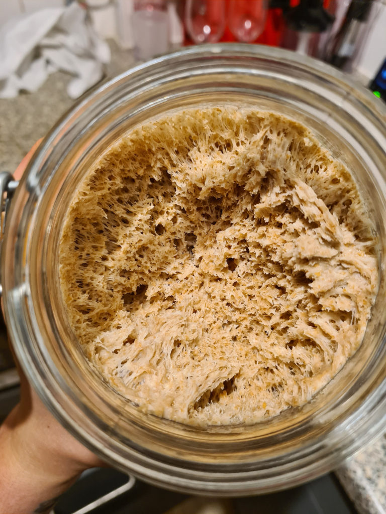 Italian sourdough starter day 3