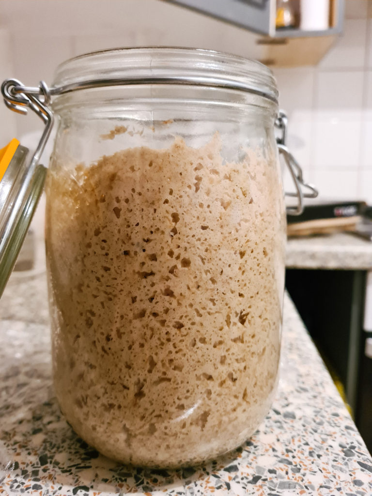 Sourdough starter