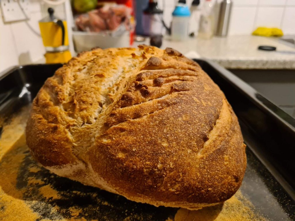 Rustic Sourdough Bread Recipe – Mother Earth News