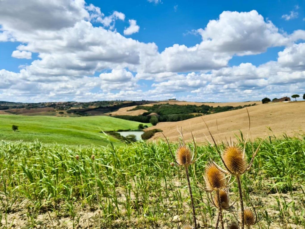 Best-things-to-visit-in-val-d'orcia