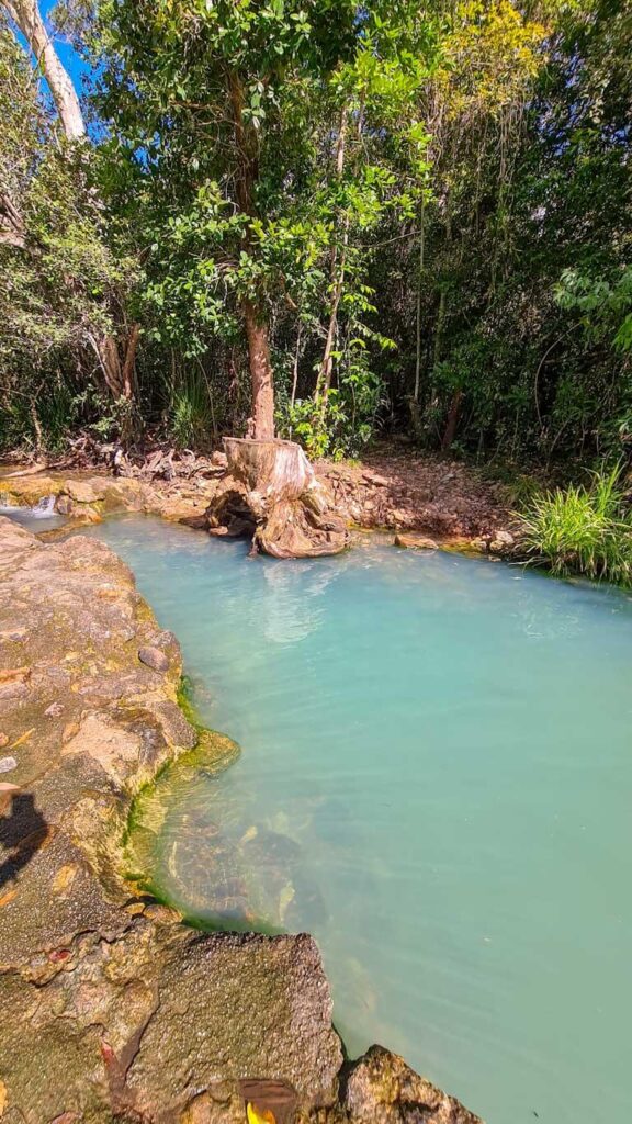 Airlie-beach-to-Cape-Tribulation-cardwell