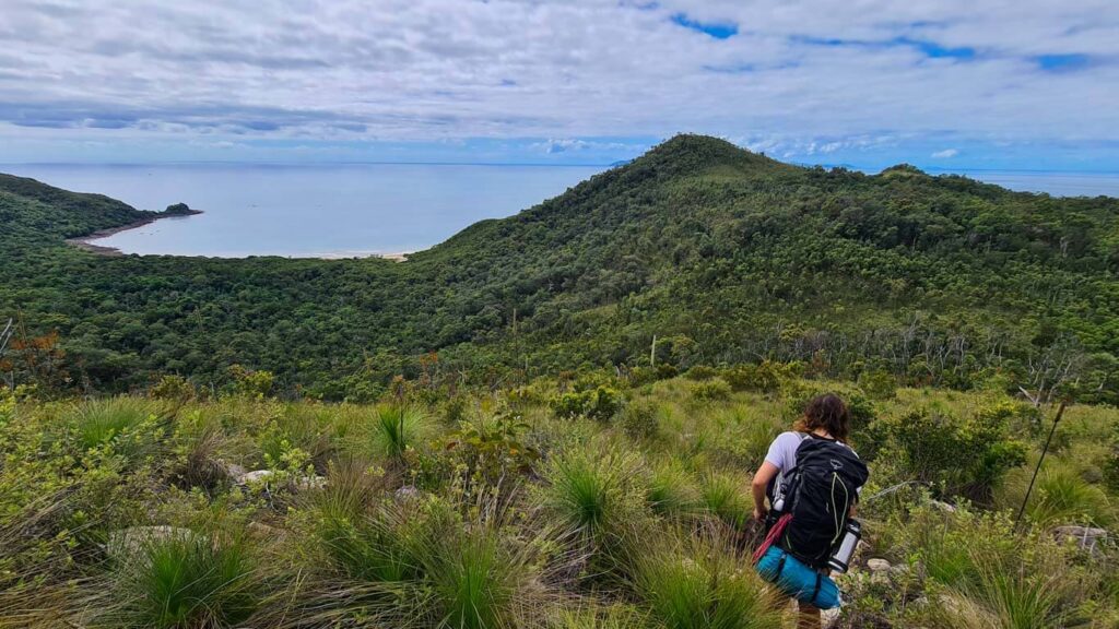 thorsborne-trail-hinchinbrook-island