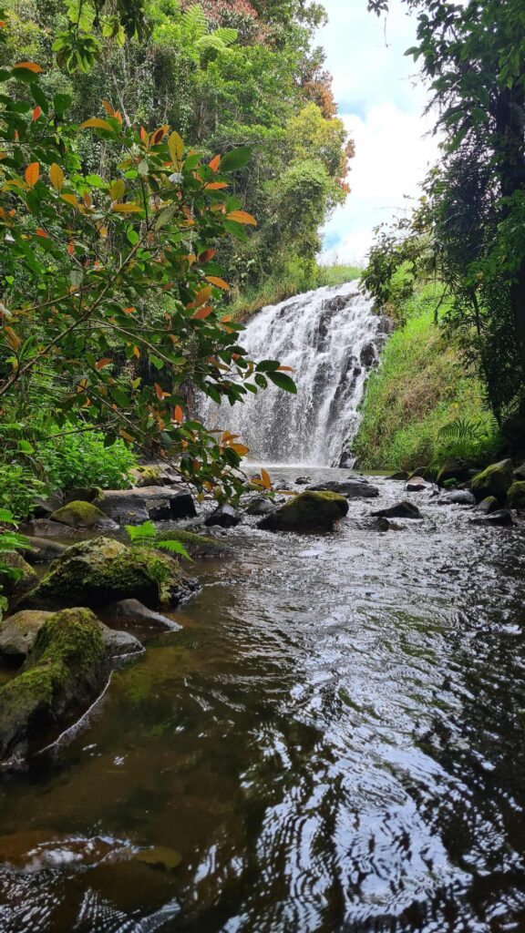 15 best waterfalls near cairns ellinjaa falls