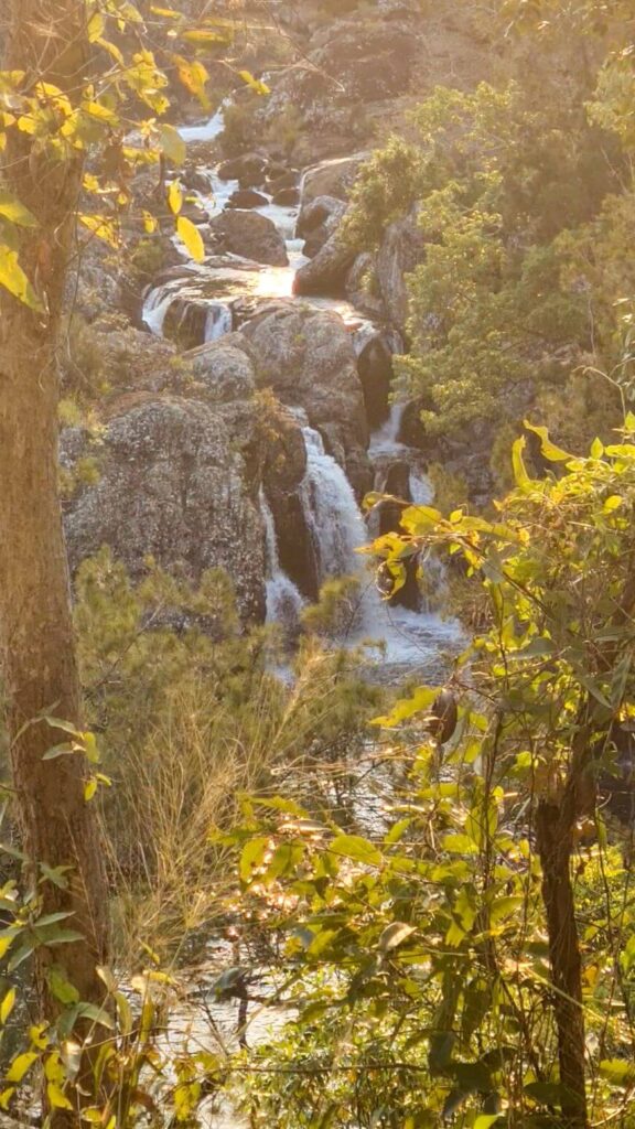 15 best waterfalls near cairns little millstream