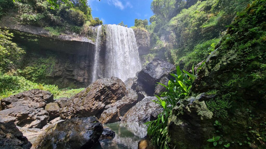 15 best waterfalls near cairns zillie