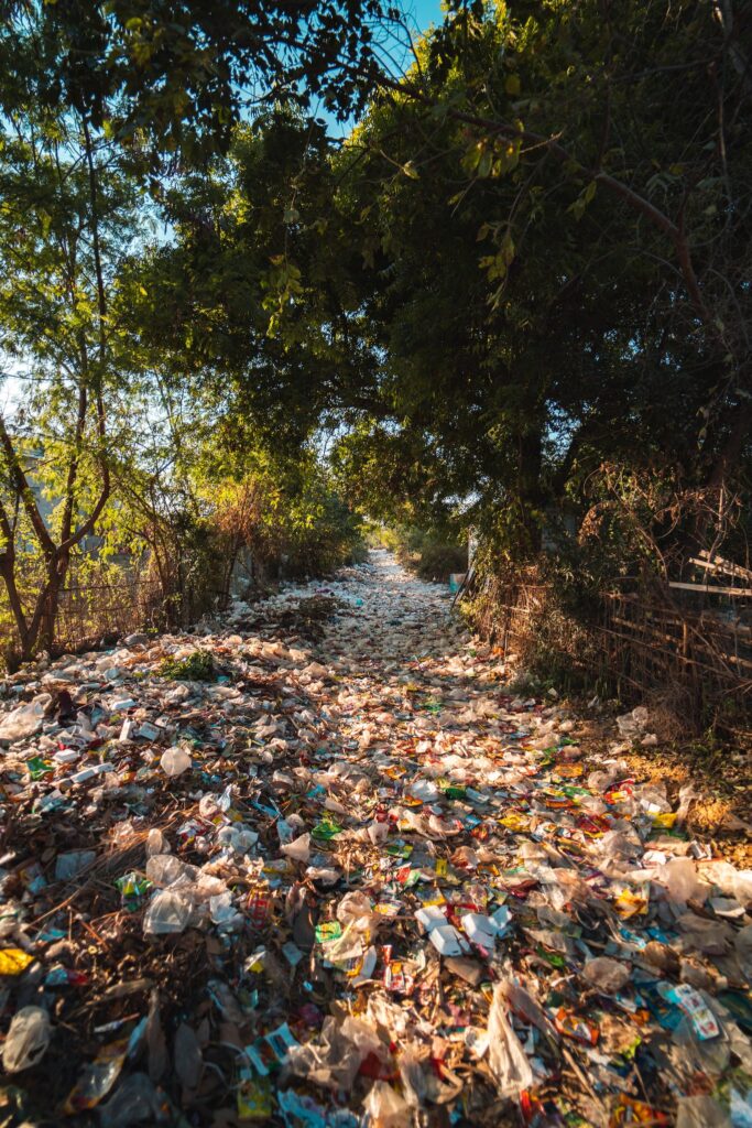 Photo of Plastics Near Trees