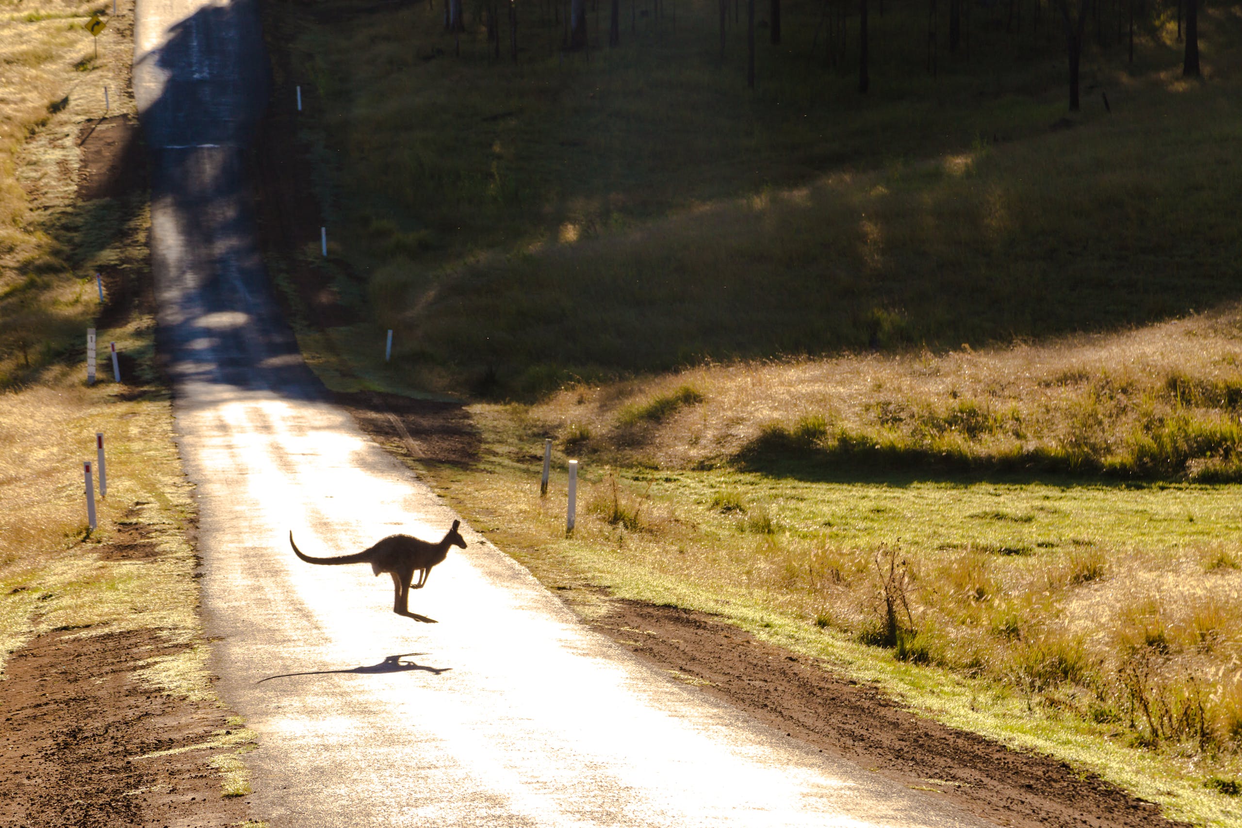 How-to-extend-working-holiday-visa-in-australia