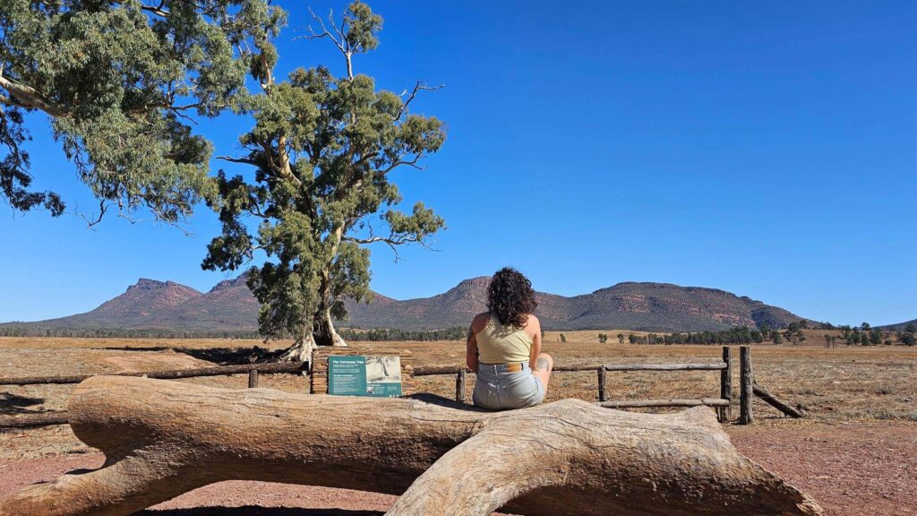 Ikara-flinders-ranges-national-park-perfect-guide-