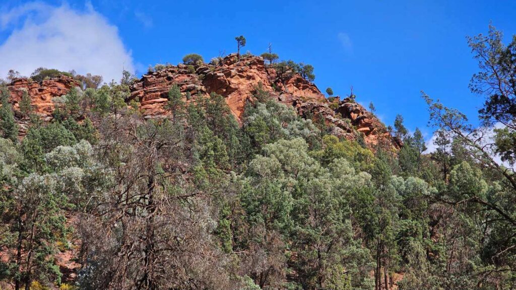 Ikara-flinders-ranges-national-park-guide-view-from-wilpena