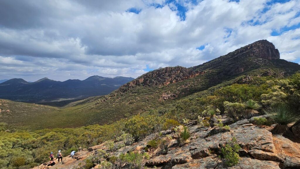 Ikara-flinders-ranges-national-park-guide-view-of-st-marys-peak-bushwalking