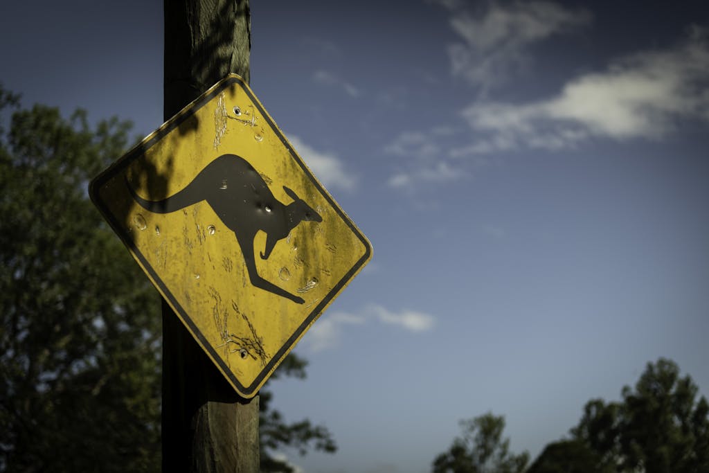 Kangaroo crossing road sign in Australia with clear blue sky background.